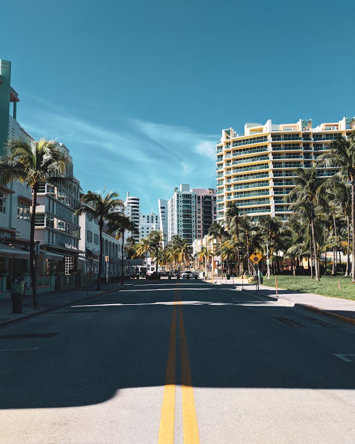 Empty streets with palm trees and modern architecture in Miami Beach, Florida, under a bright sky.